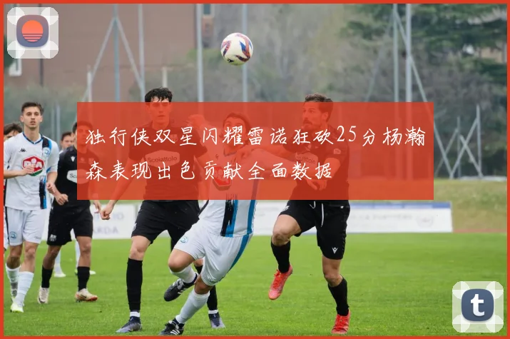 独行侠双星闪耀雷诺狂砍25分杨瀚森表现出色贡献全面数据